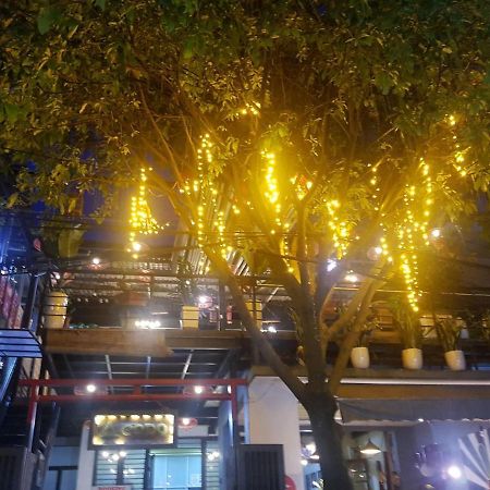 Codohomestay Garden Huế Kültér fotó